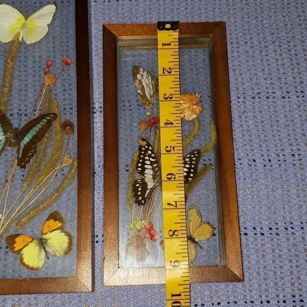 Stunning Butterfly & Dried Flowers Mounted In Shadow Box Framed Wall Art